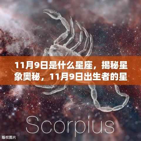 星星打烊 第6页