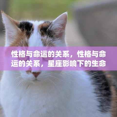 富贵利达 第7页