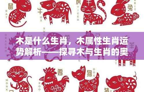 难能可贵 第5页