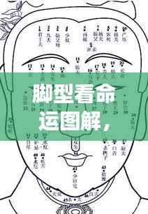 布衣蔬食 第6页