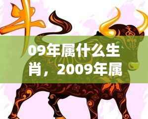 2009年属相运势解析，生肖运势大揭秘