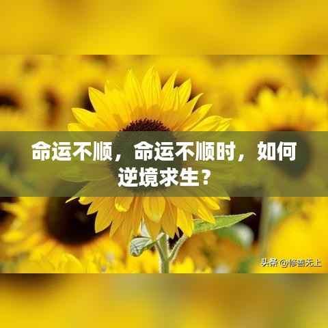 生张熟魏 第5页