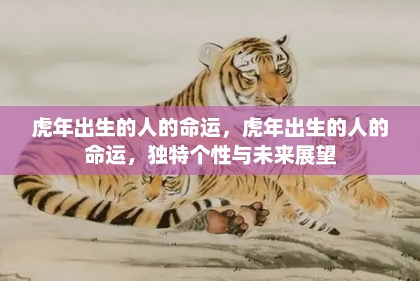 虎年出生之人的命运解析，个性特质与未来展望
