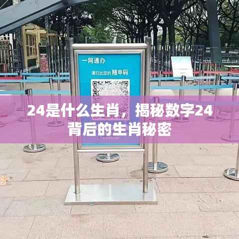 郑重其事 第5页