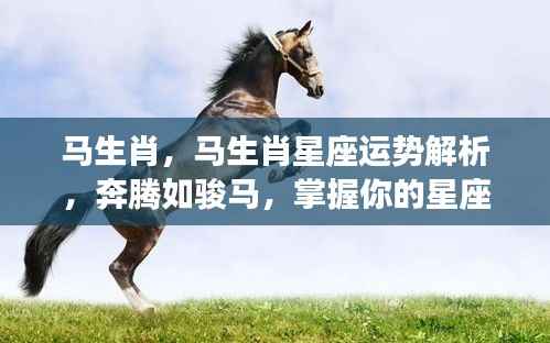 马生肖运势解析，掌握星座走向，奔腾如骏马的力量助你前行！