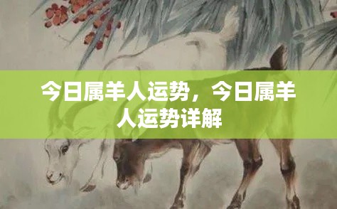 今日属羊人的运势详解与预测