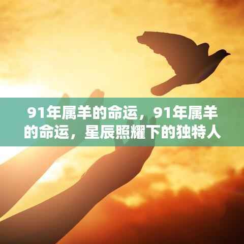 星辰照耀下的独特人生轨迹，揭秘91年属羊命运