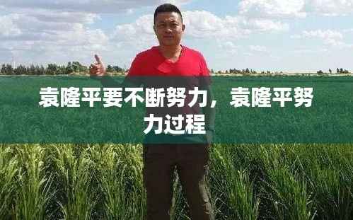 一石二鸟 第4页