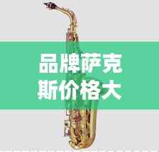 品牌萨克斯价格大解析，不同品牌萨克斯的价值与价格对比！