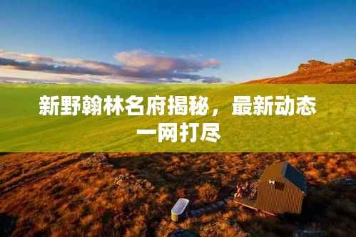 全神贯注 第4页