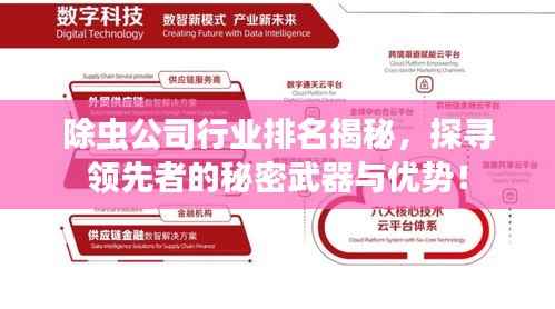 独出新裁 第4页