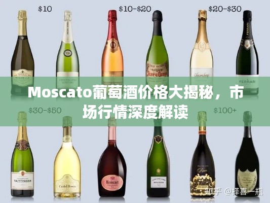 Moscato葡萄酒价格大揭秘，市场行情深度解读